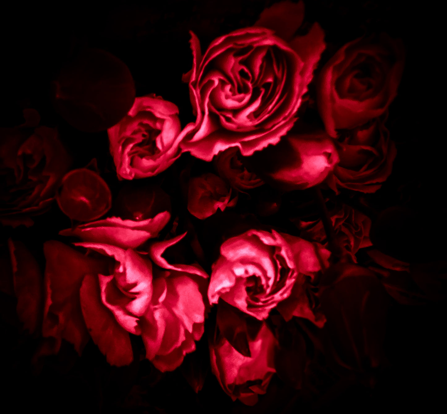 Floral beauty May 8_15:15