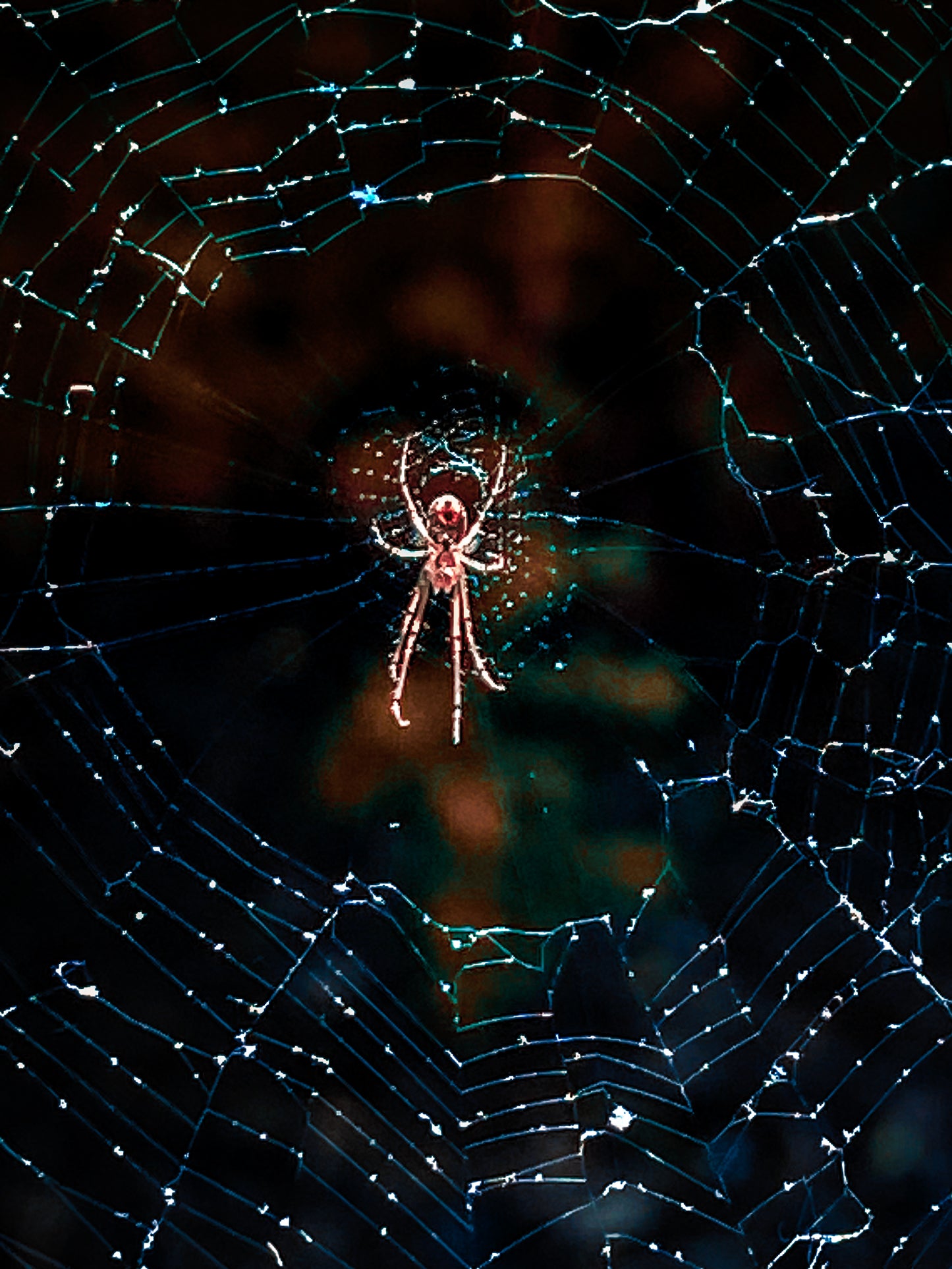 Nature's Splendor: A Collection of Digital Images
