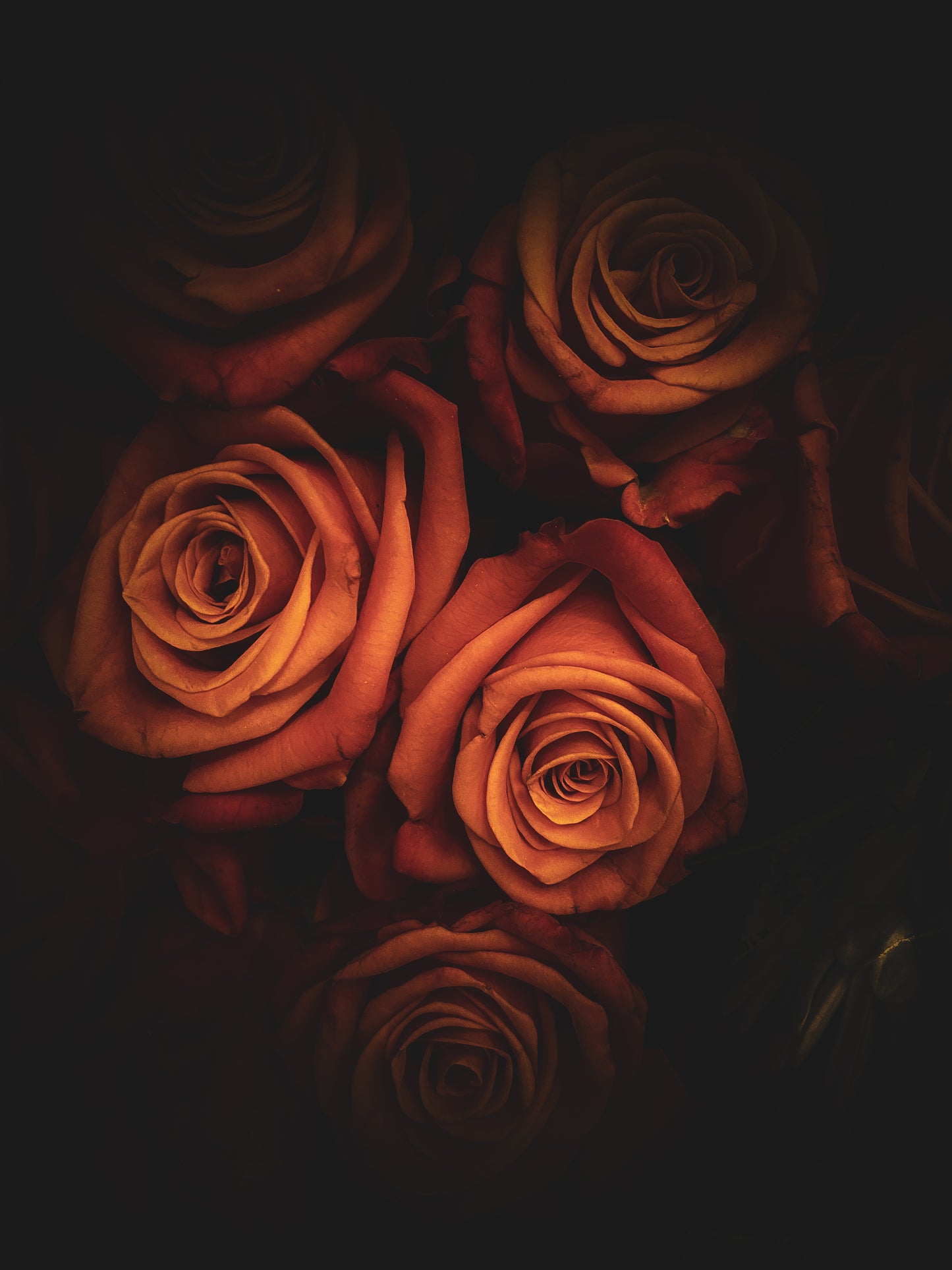 Floral beauty May 8_15:15