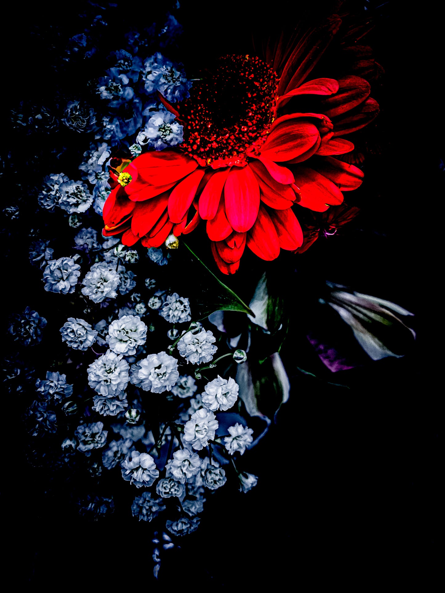 Floral beauty May 8_15:15