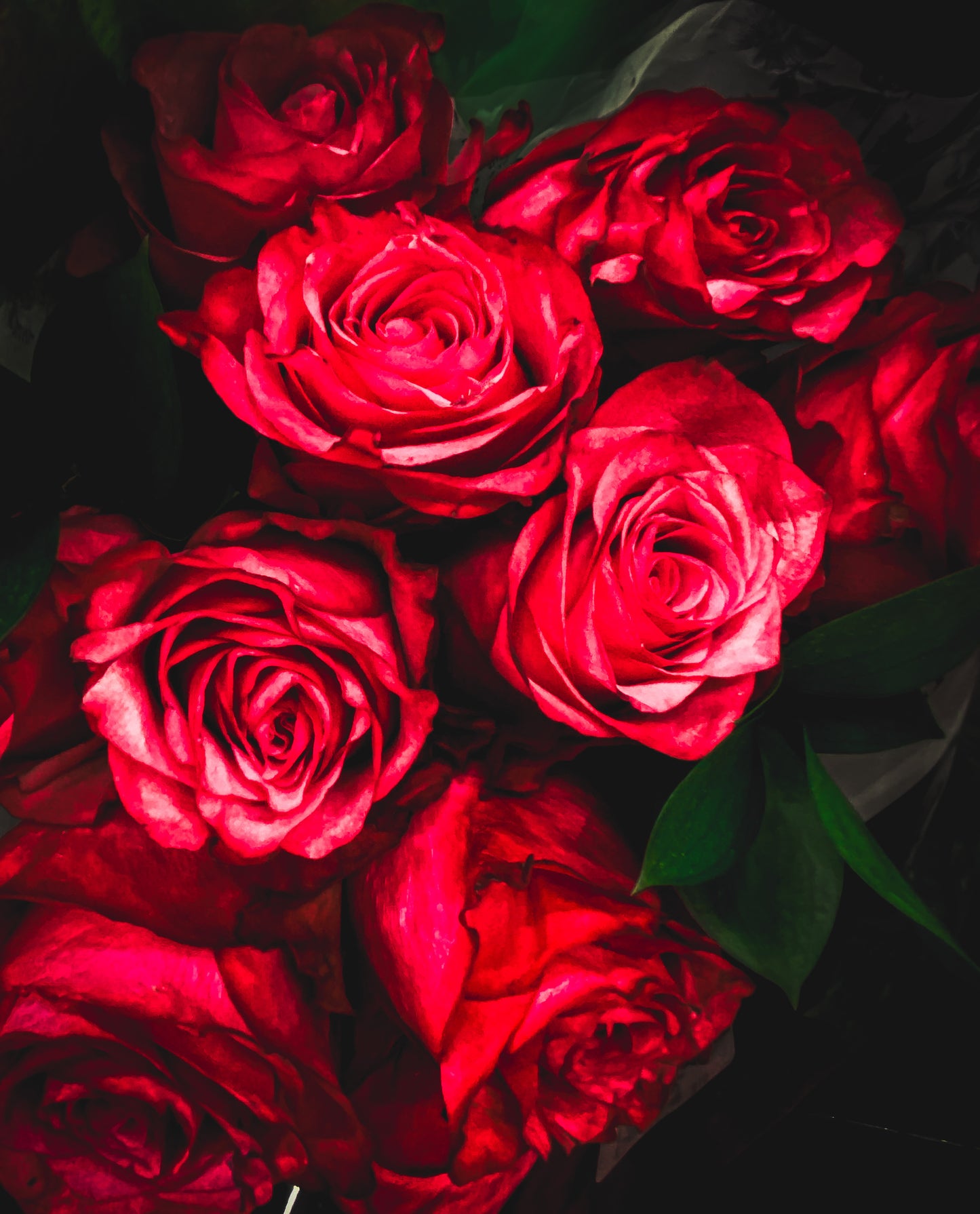 Floral beauty May 8_15:15