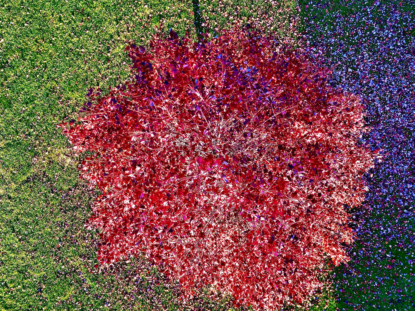 Photographs ( Aerial view )