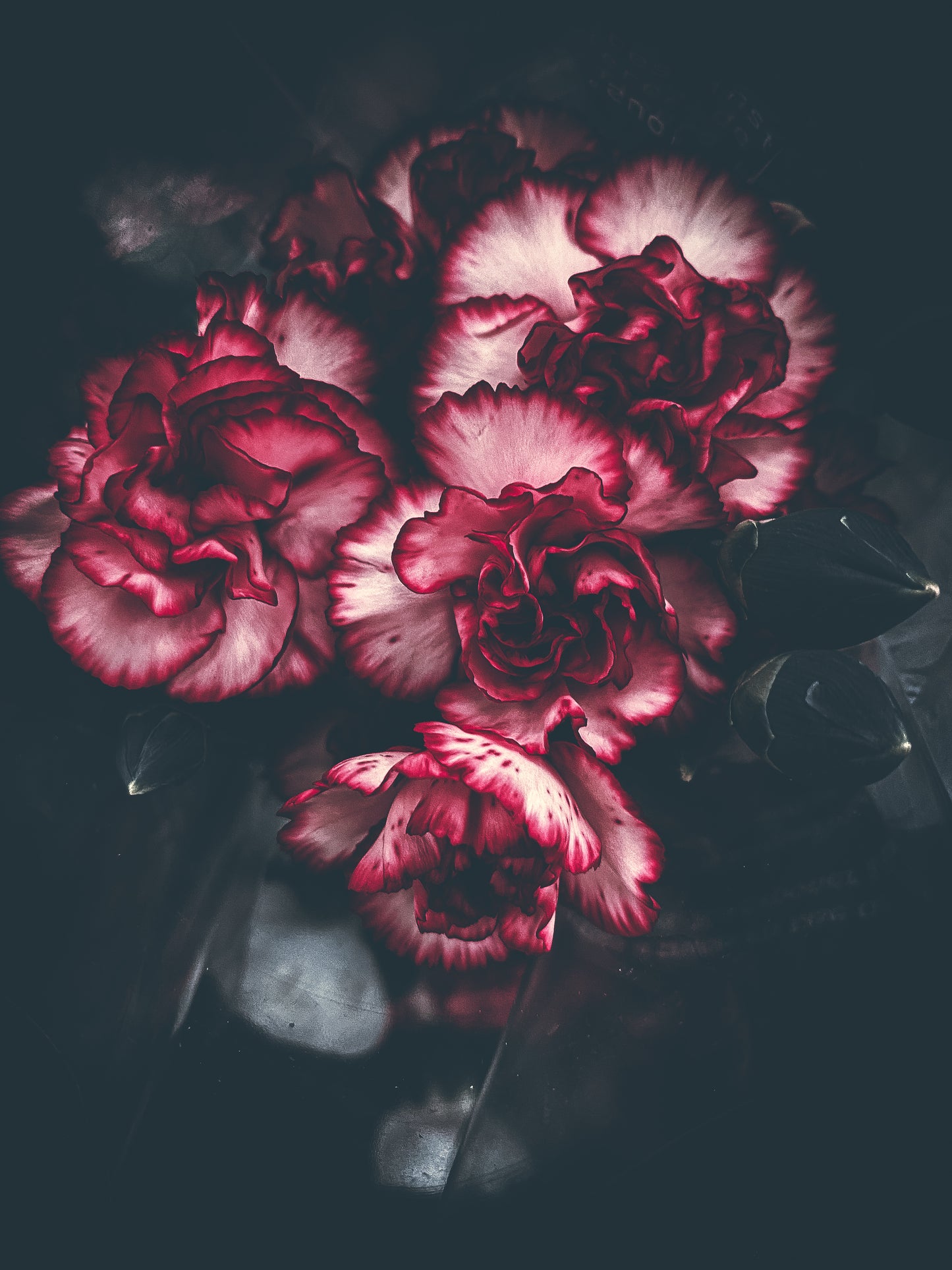 Floral beauty May 8_15:15