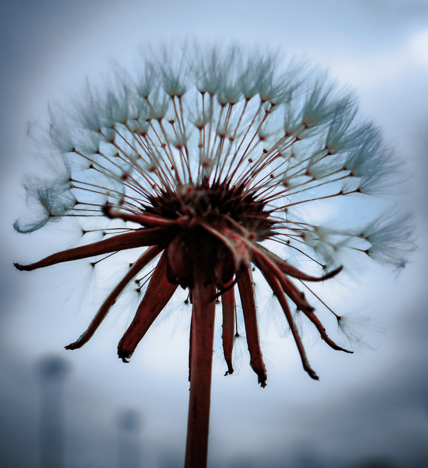 Nature's Splendor: A Collection of Digital Images