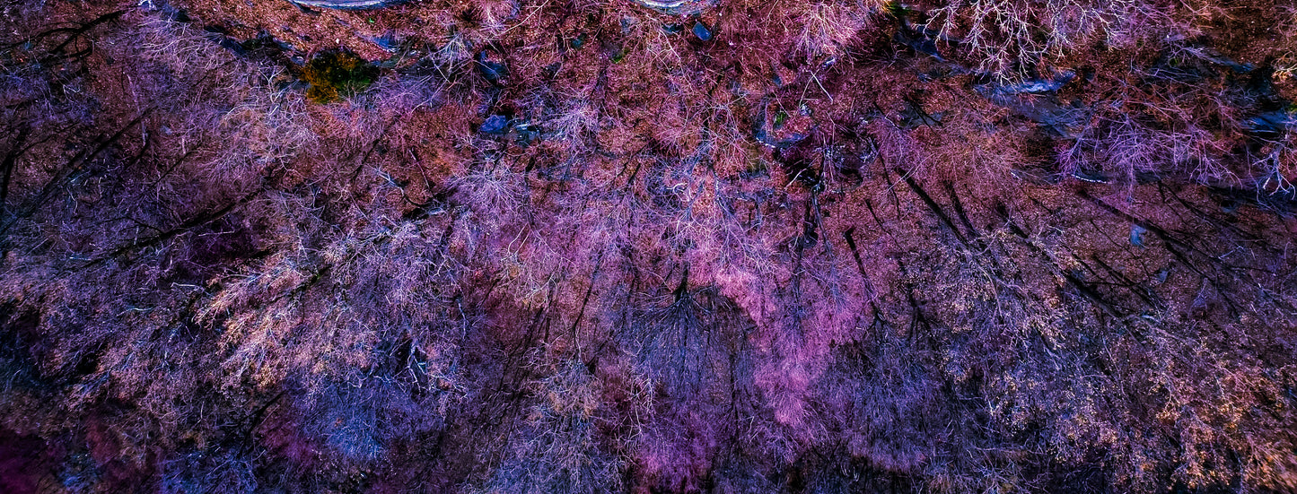 Photographs ( Aerial view, Landscape)