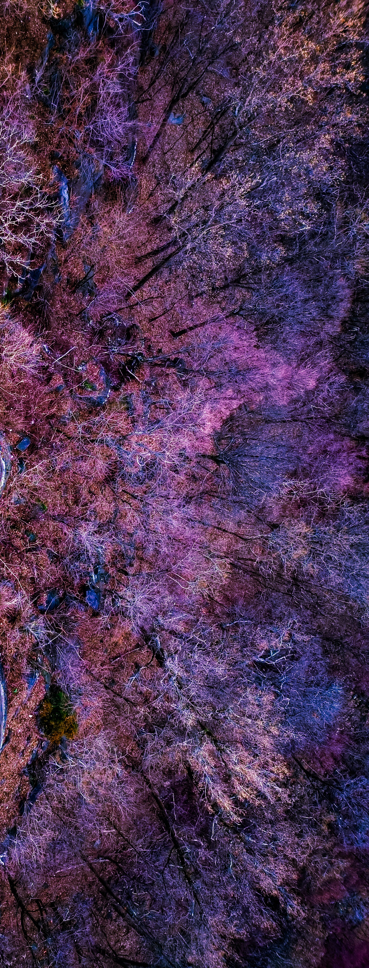 Photographs ( Aerial view, Landscape)