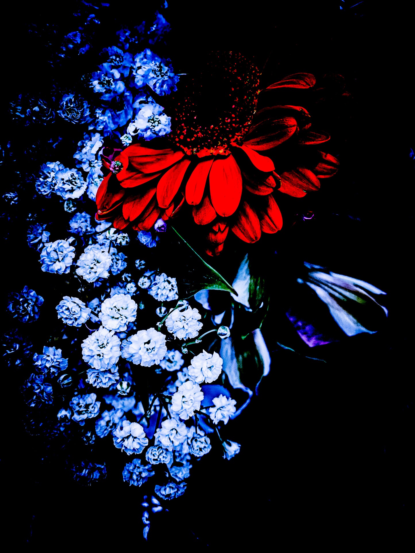 Floral beauty May 8_15:15