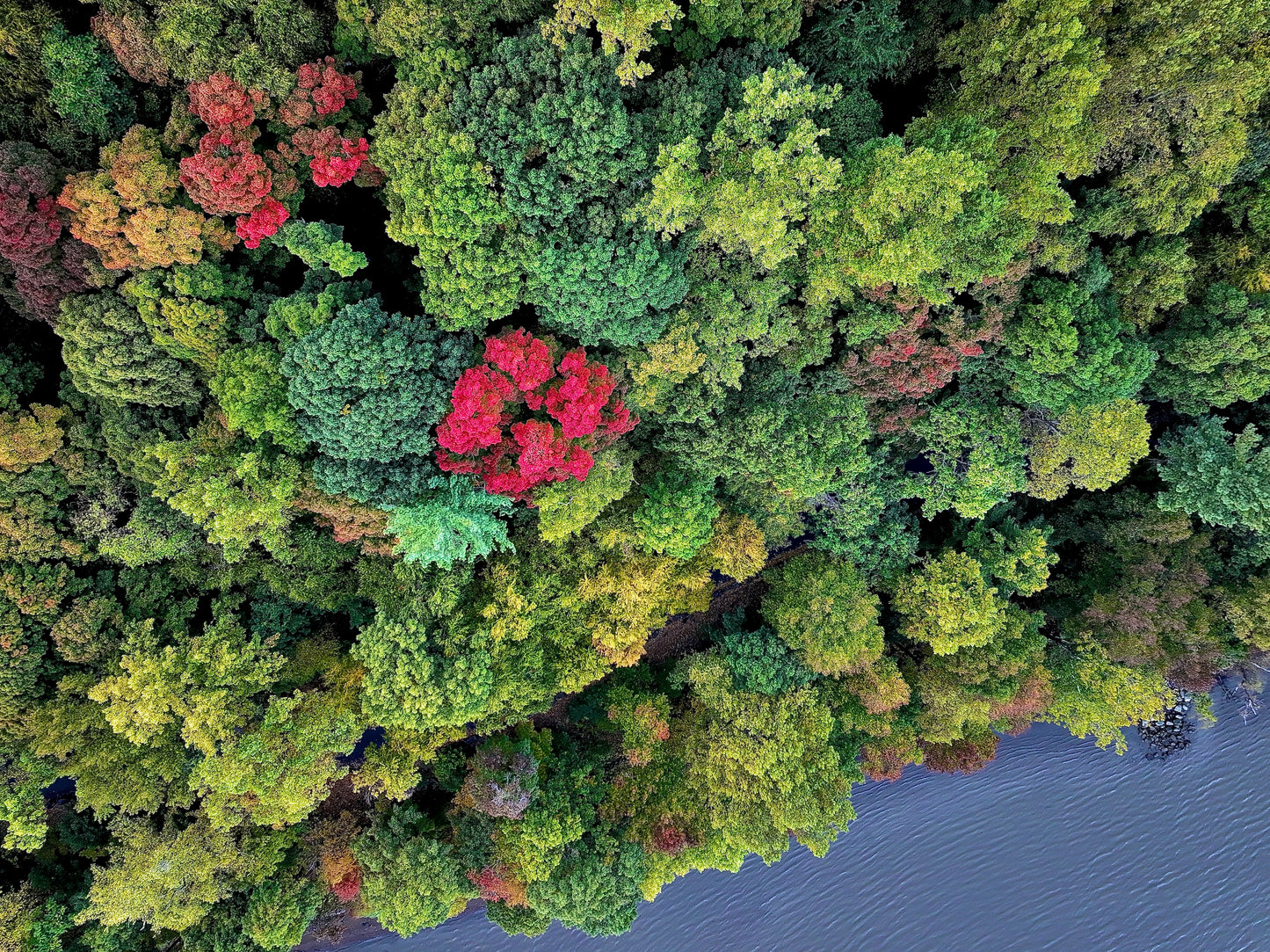 Photographs ( Aerial view )