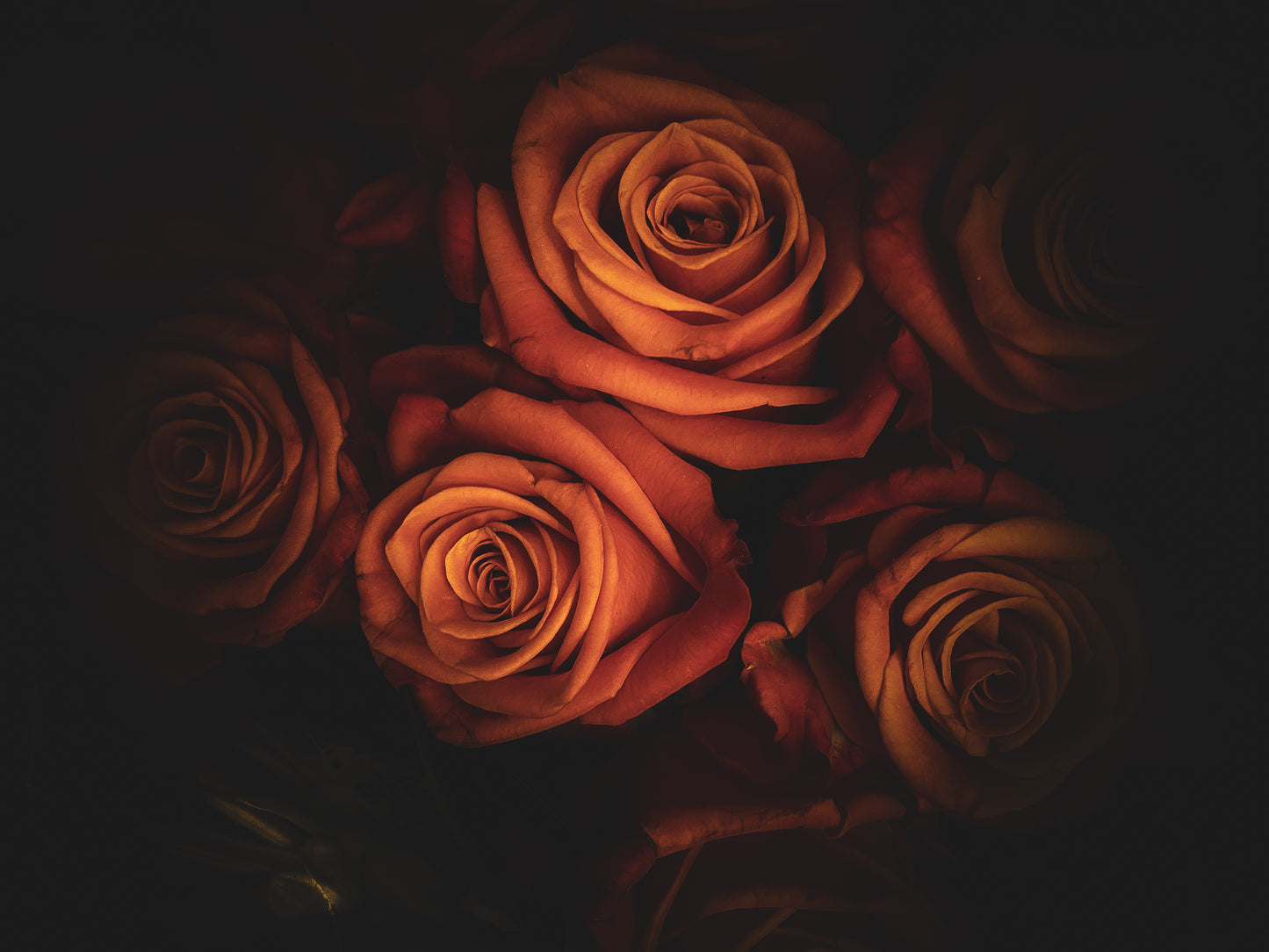 Floral beauty May 8_15:15