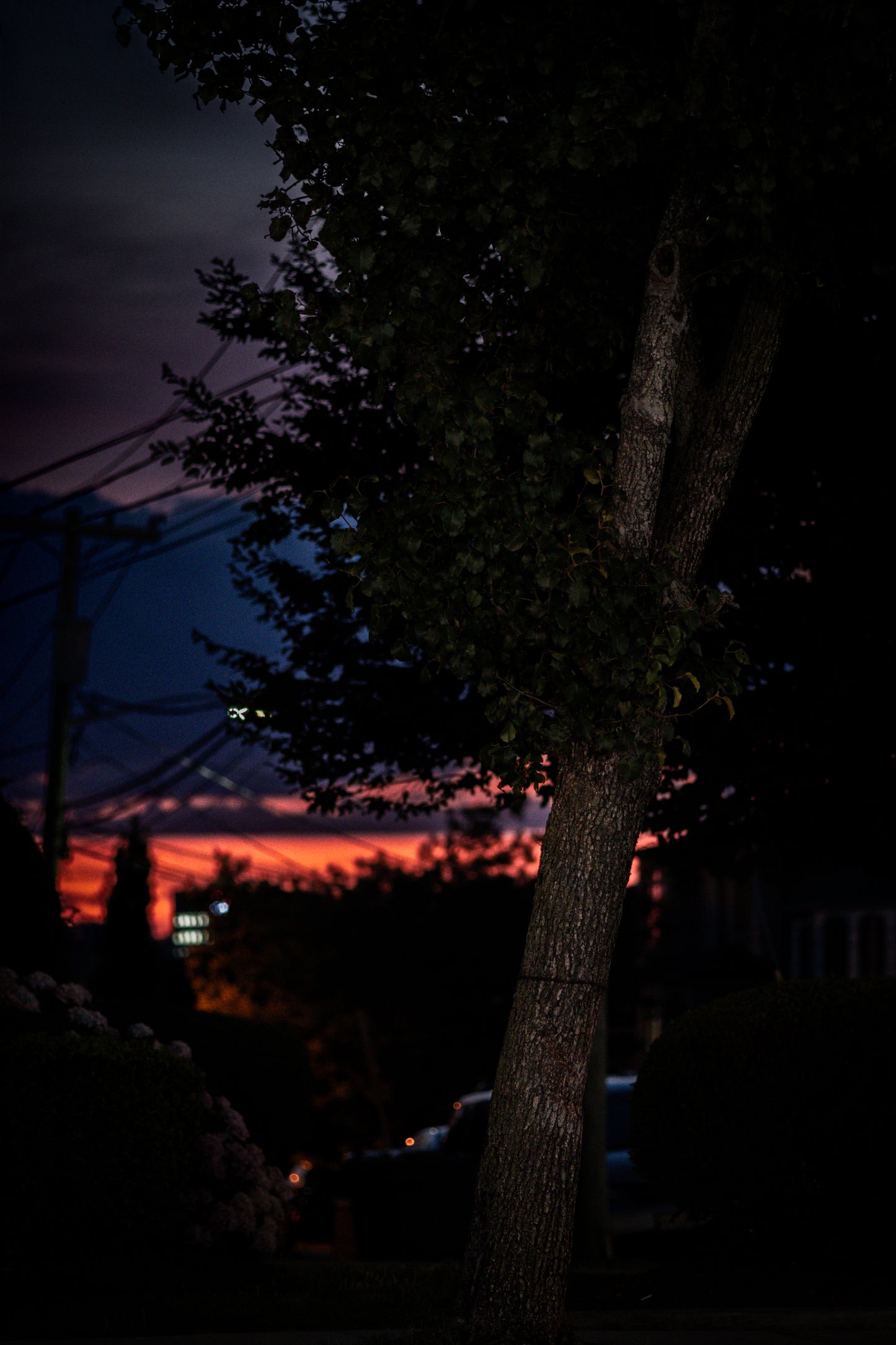 Urban Nights May 8_14:38