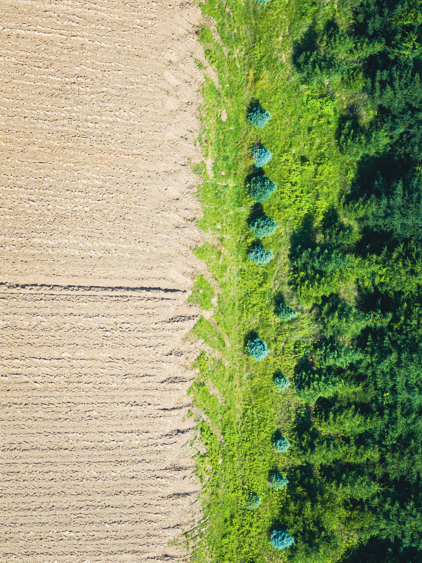 Photographs ( Aerial view, Landscape)