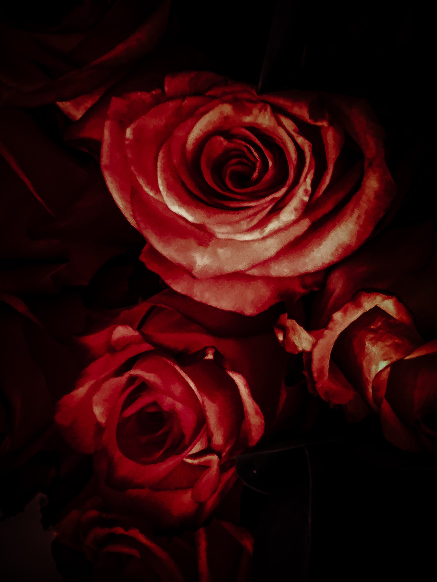 Floral beauty May 8_15:15