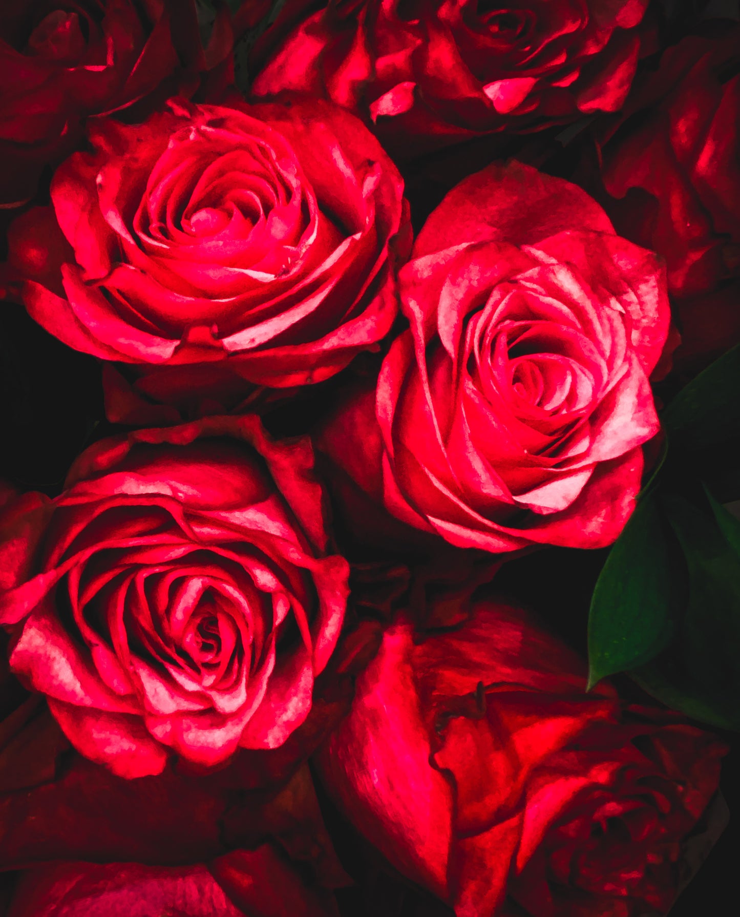 Floral beauty May 8_15:15