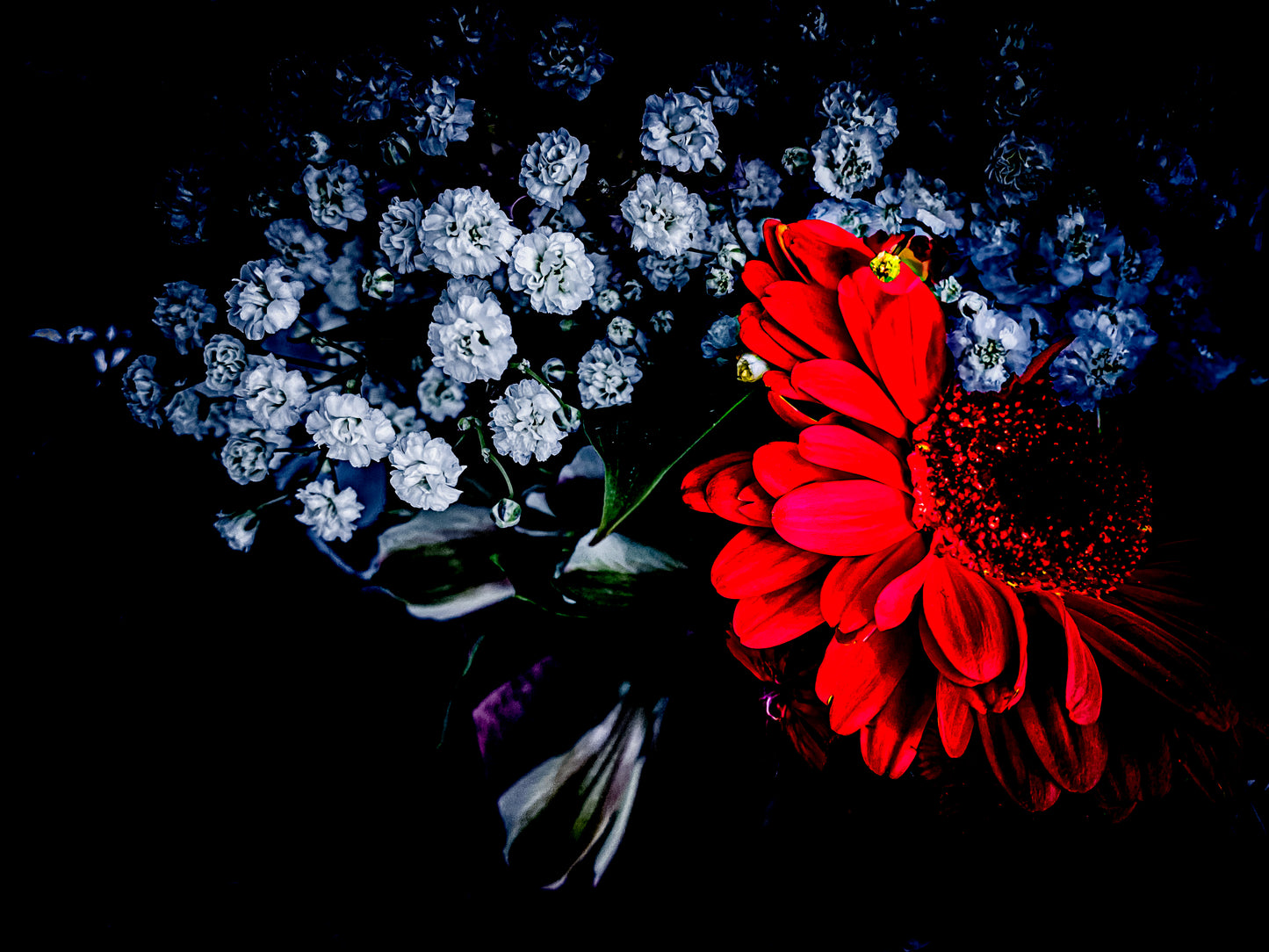 Floral beauty May 8_15:15