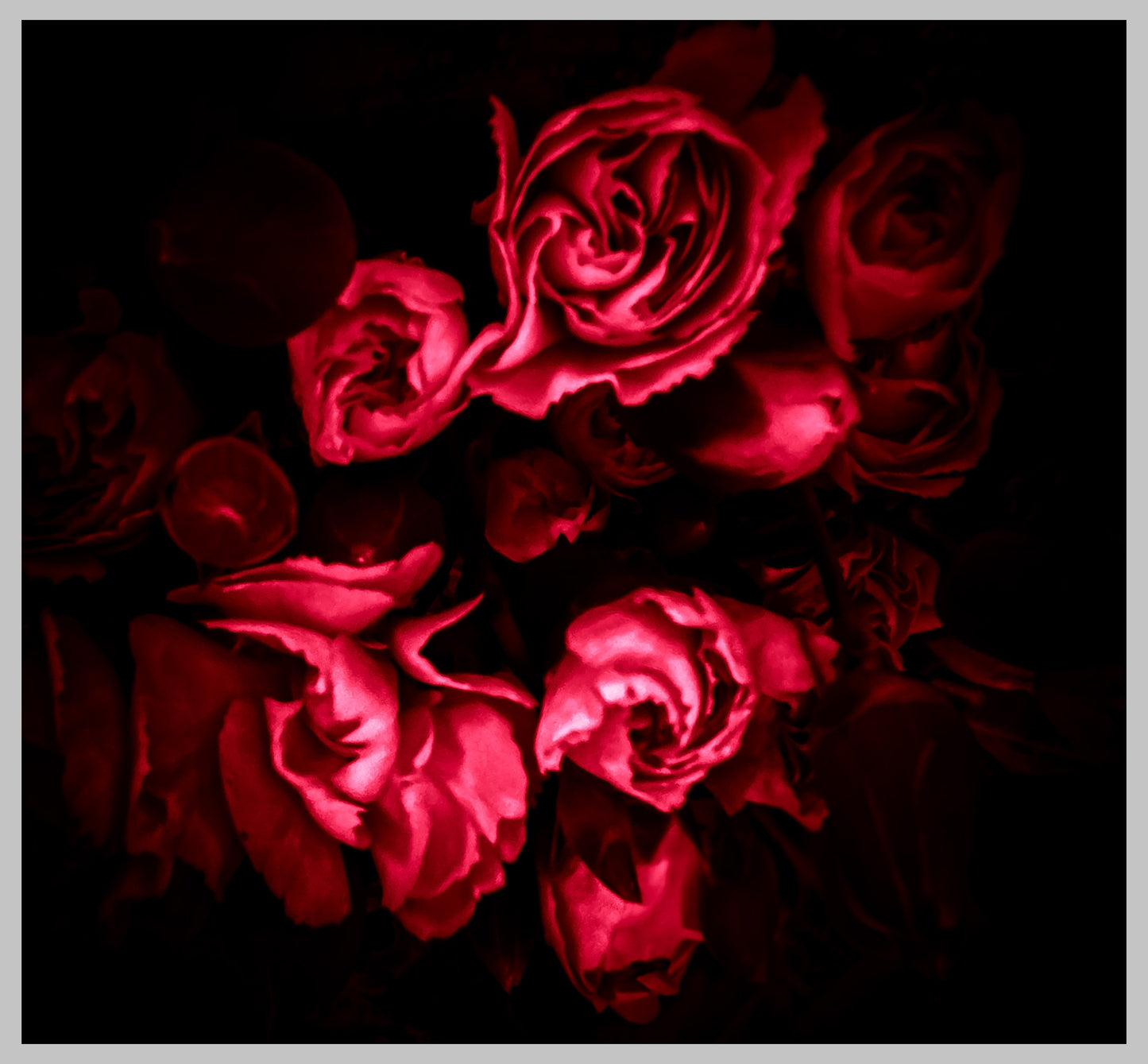 Floral beauty May 8_15:15